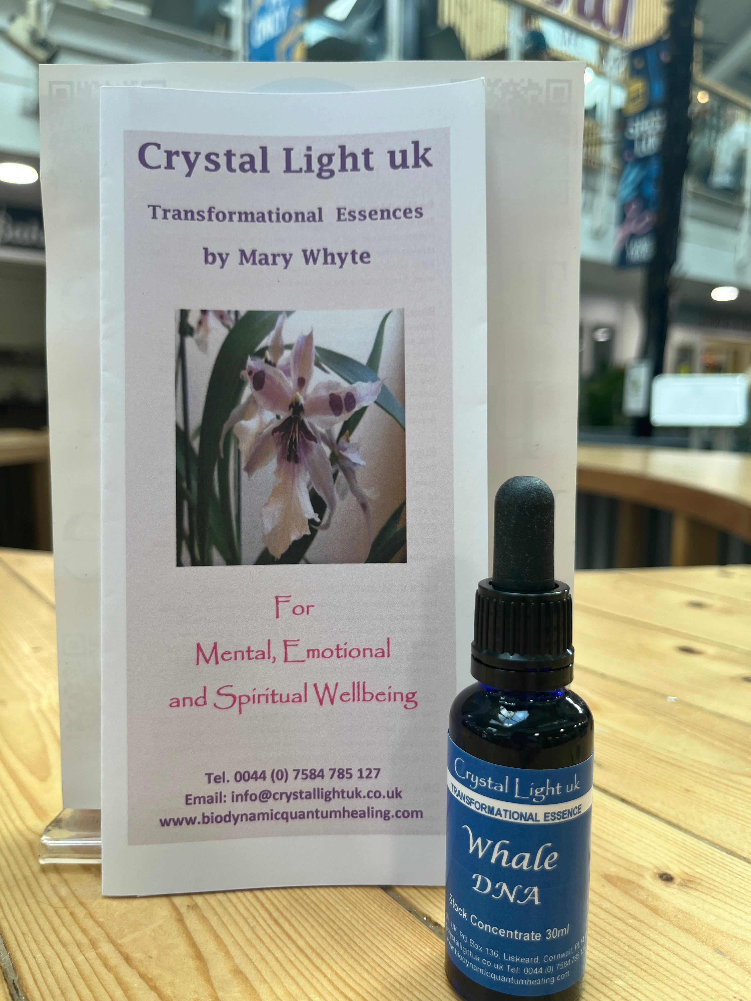 Crystal Light uk - Whales DNA - Transformational Essence