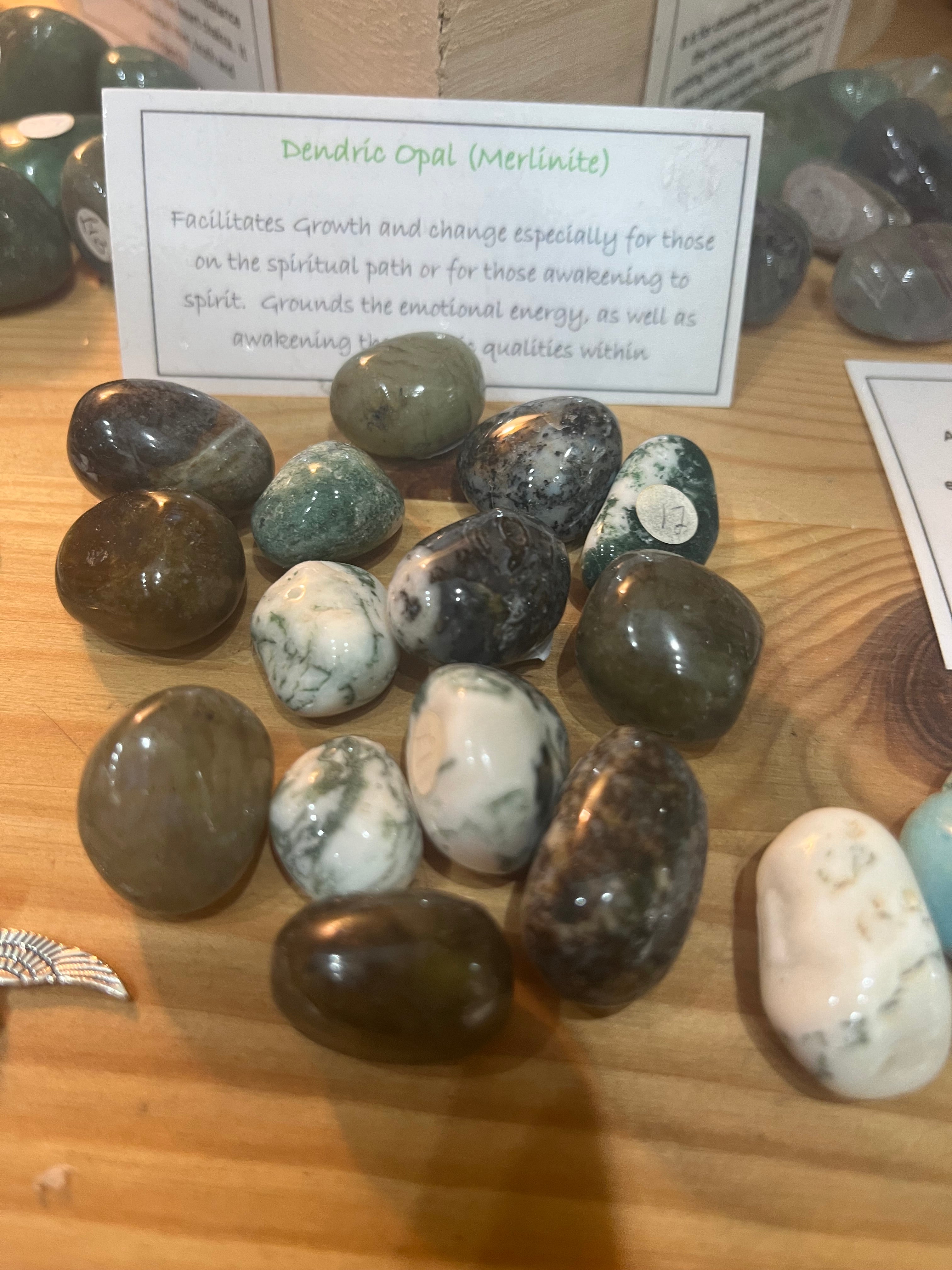 Dendric Opal (Merlinite) Tumbled stones